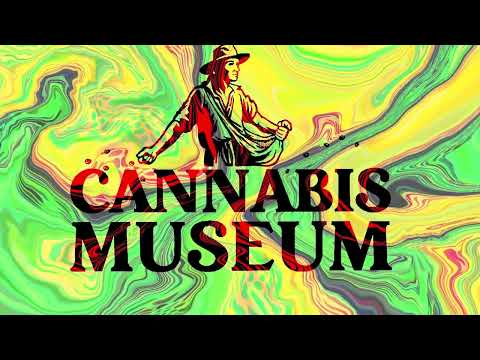 Newly renovated Cannabis Museum aims to educate