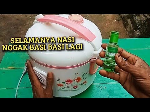 BANYAK YANG BELUM TAU!! BEGINI CARA SUPAYA NASI DI MAJIKOM TIDAK BASI BASI LAGI