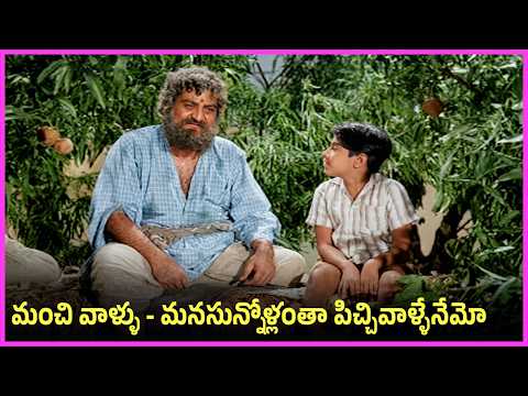 మంచి వాళ్ళు - మనసున్నోళ్లంతా పిచ్చివాళ్ళేనేమో - SV Gangarao, NTR, Jamuna Best Family Drama Scenes