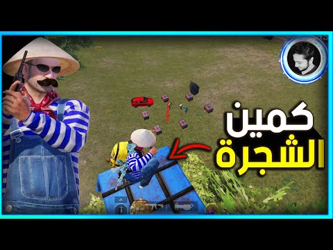 المستفز | كمين فوق الشجرة 😂 | ببجى موبايل