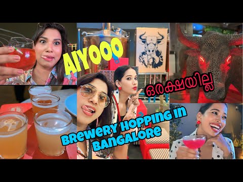 Hot Toddy order ചെയ്താ ഗയ്‌സ് കൊടിച്ചപ്പോ  😬  Bangalore brewery hopping  Ft BlushwithAsh