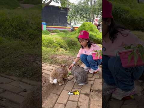Hamidah hamidah bermain bersama kelinci !! #shorts #funny #drama