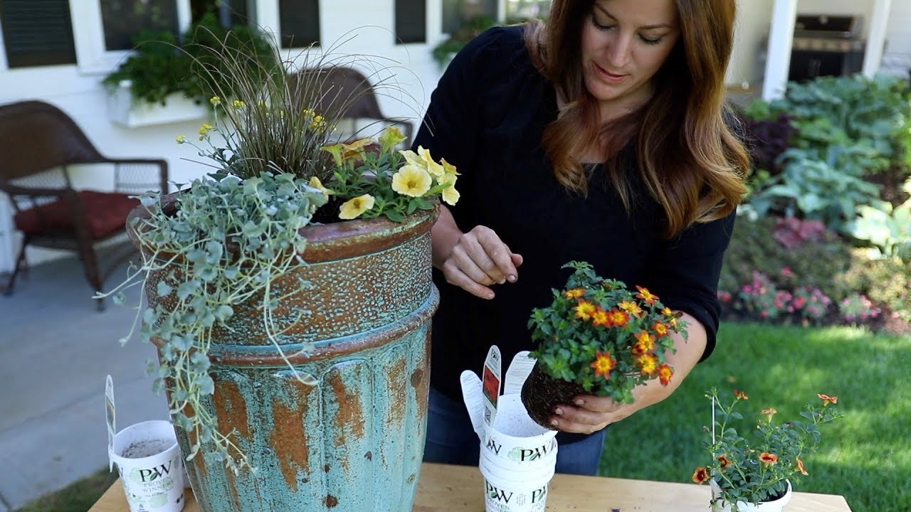 Planting up Some Fall Color! (a. k. a. willing cooler temps to arrive! )
