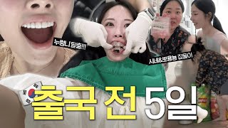 ✈️출국 5일전. 짐도 못싸고 돌아다니는 브이로그