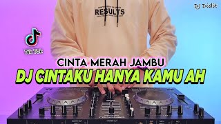 DJ CINTAKU HANYA KAMU AHH - CINTA MERAH JAMBU REMIX FULL BASS VIRAL TIKTOK TERBARU 2025