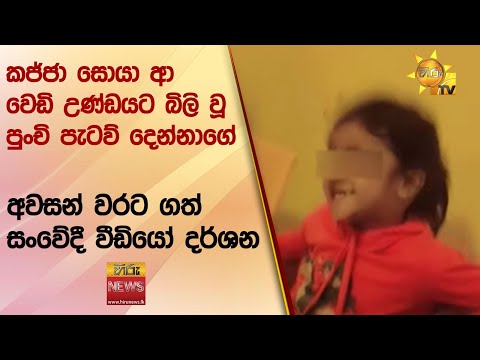 කජ්ජා සොයා ආ වෙඩි උණ්ඩයට බිලි වූ පුංචි පැටව් දෙන්නාගේ - අවසන් වරට ගත් සංවේදී වීඩියෝ දර්ශන- Hiru News