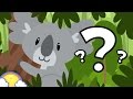 Understanding the Video Tutorial