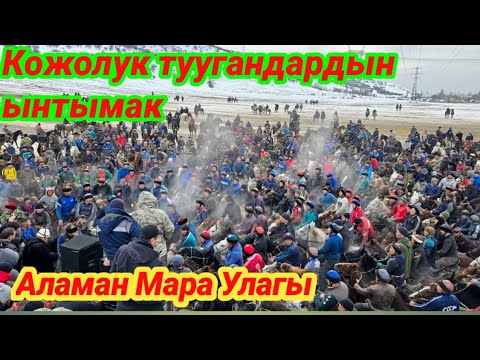 Кожолуктардын Ынтымак Улагы