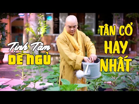 TÂN CỔ HAY NHẤT - Ca Cổ Nhạc Phật Tịnh Tâm Dễ Ngủ | Cát Bụi, Một Cõi Đi Về - Thích Nghiêm Bình