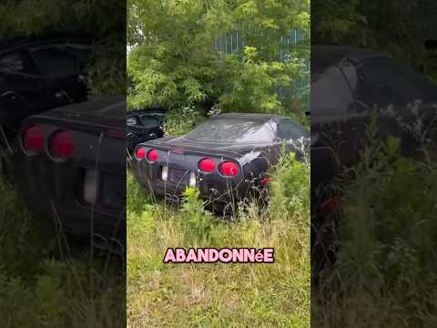 Il trouve une corvette abandonnée 🤯