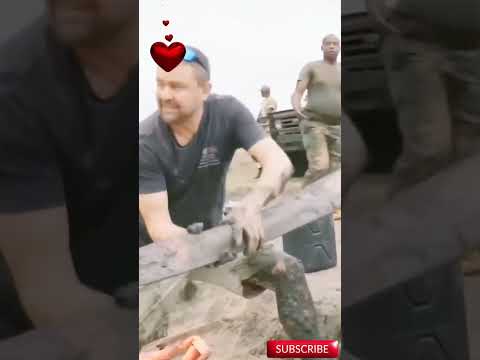 Heroic Elephant Rescue Saving a Giant from Certain Death! 🐘🚨