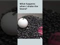 Understanding the Video Tutorial