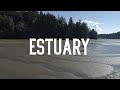 Estuary Restoration and Functions