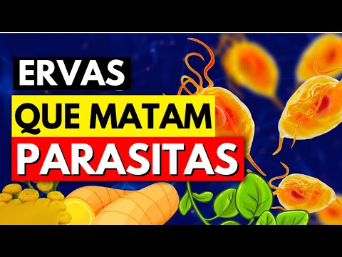 🌱As 10 melhores ervas para parasitas (desintoxicação e limpeza naturais)