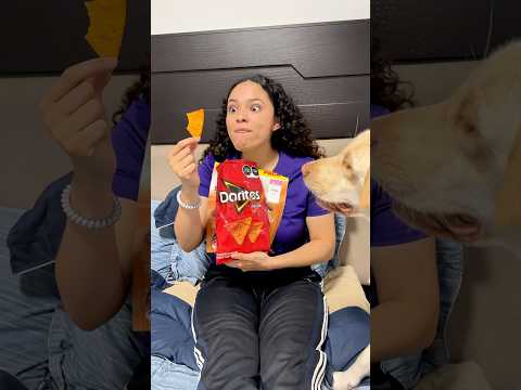 COMIDA PARA PERRO🐶🤣#shorts #viralvideo #funny ​⁠@ROYTHITHI