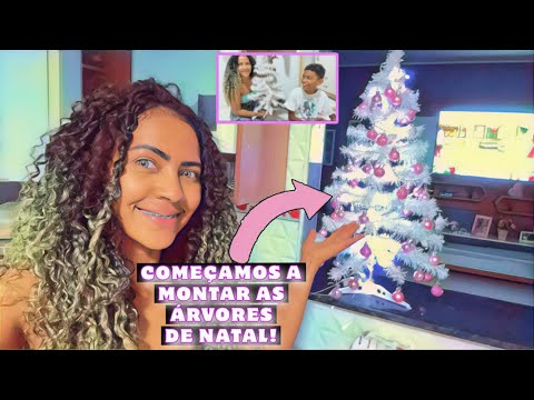 COMEÇANDO A MONTAR AS ÁRVORES DE NATAL