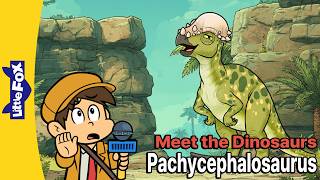 Why Did Pachycephalosaurus Have Such a Thick Skull? | Meet the Dinosaurs