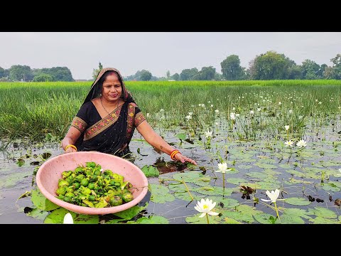 तालाब की सफ़ेद कोकवेली का कोचा/ एक बार खायेंगे तो बार बार बनायेंगे || Kokaaveli Ka kocha