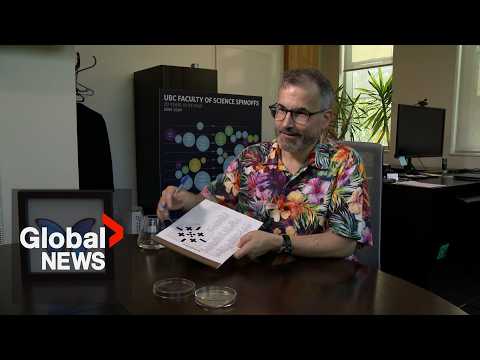 YouTube video thumbnail: "Just a Hobby": Meet the BC Scientist who Creates Crosswords for New York Times, Wall Street Journal