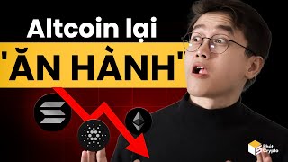 Altcoin đổ máu - Ông Trump khắc khẩu với chủ tịch FED - Việt Nam được sàn lớn tại Hàn nhắm tới??
