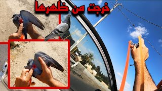 العيش في البريه على صيد الحمام الجزء 19 صيد وطبخ