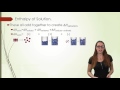 Heat of Solution and Intermolecular Forces