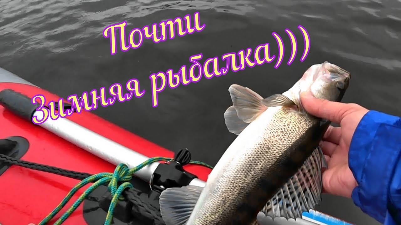 Почти ЗИМНЯЯ РЫБАЛКА на спиннинг. У нас похолодало и дождь