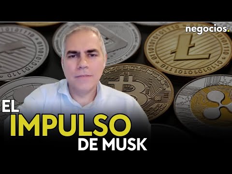 "Las Memecoins y Bitcoin están tirando al calor de que Elon Musk forme parte del gobierno de Trump"