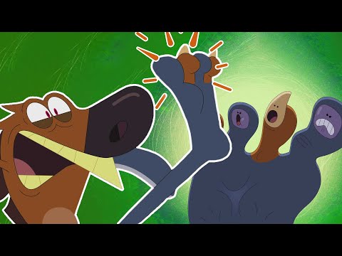 Zig & Sharko 🤢 A FOOT PROBLEM - Compilation in HD