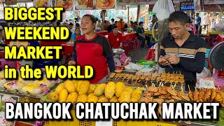 BANGKOK Thailand’s Chatuchak Market 2025 🇹🇭 The World’s BIGGEST Weekend Market + Street Food Tour