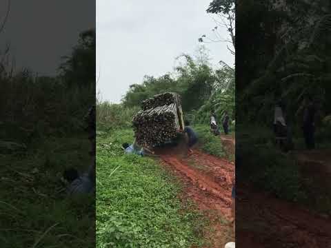 😱😱😱🚛