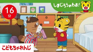 【16分アニメ】しまじろうのお家におとまり🏠 | 自分のことは自分でやってみる | しまじろうのわお！アニメ | しまじろうチャンネル公式