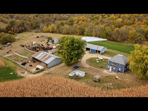 Home Improvement and Harvest