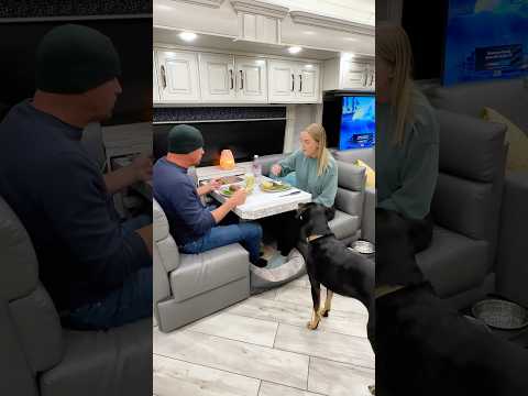 Realistic evening living in an RV 🚍 Home is where you park it! #motorhome #rvlife #asmr #vlog
