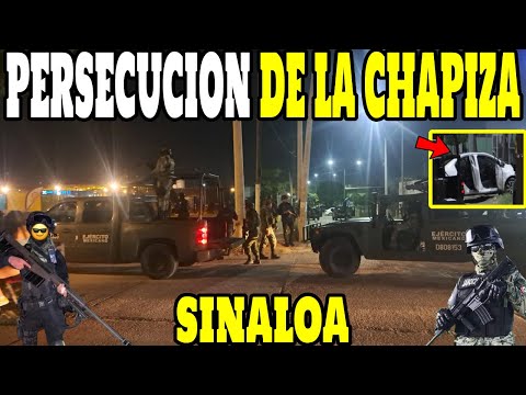 Se toparon durante operativo en Mazatlán #Sinaloa