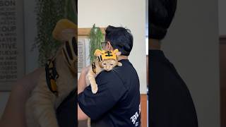 MACAN MINI #budiitakimo