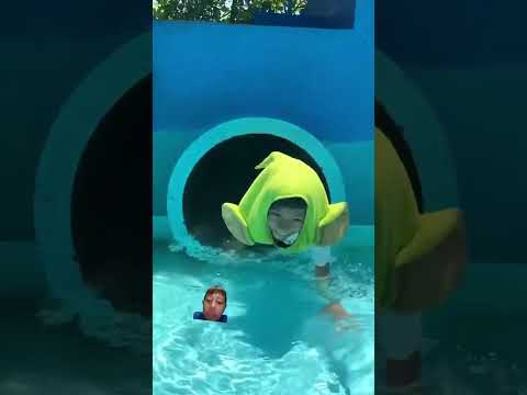 El parque aquatico