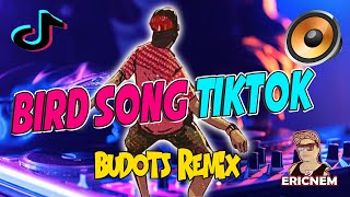 Tiktok Viral | Bird Song Remix | Dj Erinem