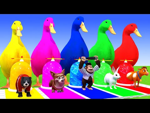 5 Giant Duck Cartoon,Cow,Elephant,Tiger,Lion,Dinosaur,Paint Wild Animals Crossing Fountain Animation