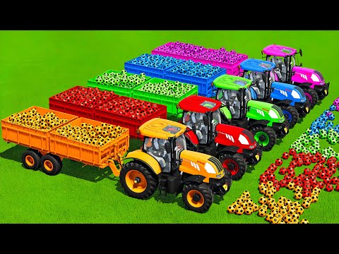 LOAD & TRANSPORT DIFFERENT COLORS OF SOCCER BALLS WITH CASE & STEYR TRACTORS - FS22