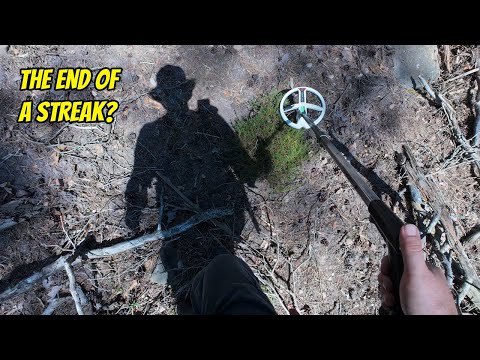 Through The Woods! Metal Detecting with Dog, Boar & Chainsaw Noises!