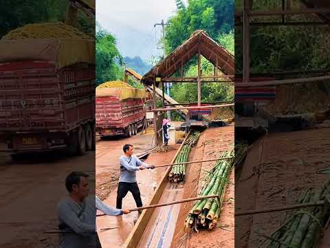 Menghaluskan bambu menggunakan mesin canggih untuk pembuatan kertas #shorts