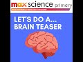 Building Blocks Activity and Analysis
