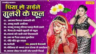 भोजपुरी सदाबाहर  सुपरहिट गाने  - पिया भइले गुलरी के फूल - Tarabano Faijabadi | Bhojpuri Songs 2025