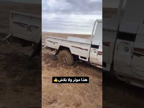 يطلع او ما يطلع شاص لكزس