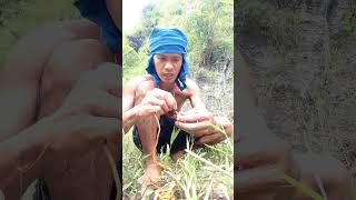 Mabisang Pain para sa KASILI, IGAT o PALOS 🐛🪝🏞️ #fishing