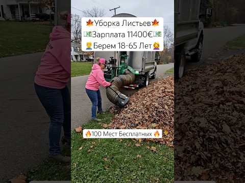 ПИШИТЕ ++ В КОММЕНТАРИИ #вакансии #работа
