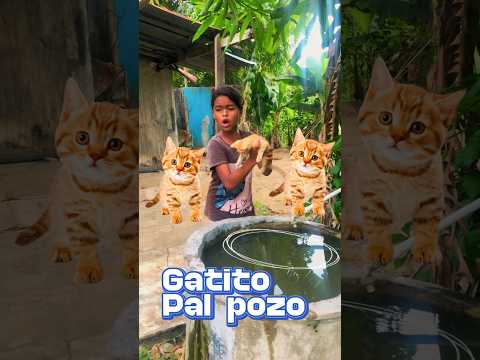 Gatito Pal  pozo ? #reel #reflexion #shortsvideo #shortvideo #drama #viral #amor #leister #reels