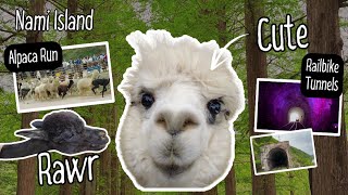 Nami Island on Children’s Day | Cute Alpacas & Thrilling Railbike Tunnels
