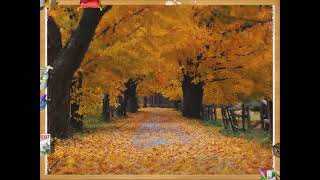 Crayola: Make a Masterpiece - Using All Magic Effects on Windows XP's Autumn Wallpaper